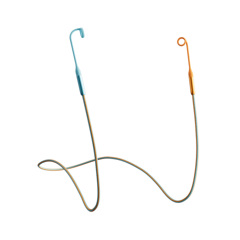Coachella Loop Link
